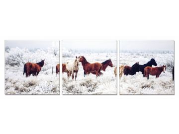 Mustangs 3-Panel Photo On Canvas